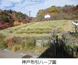 神戸布引ハーブ園